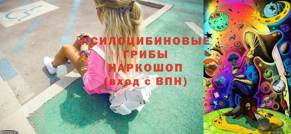 спайс Вяземский