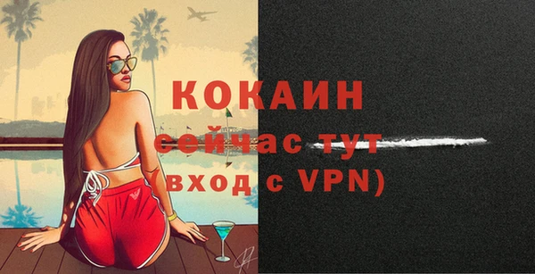 спайс Вяземский