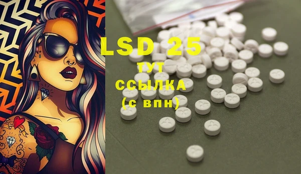 сатива Вязьма