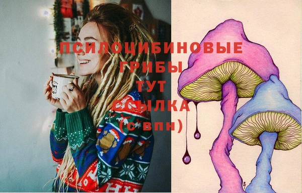 сатива Вязьма