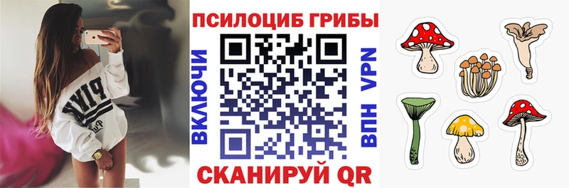 Галлюциногенные грибы Psilocybe  Ставрополь 